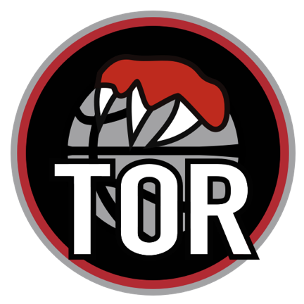 蒙得维的亚流浪者